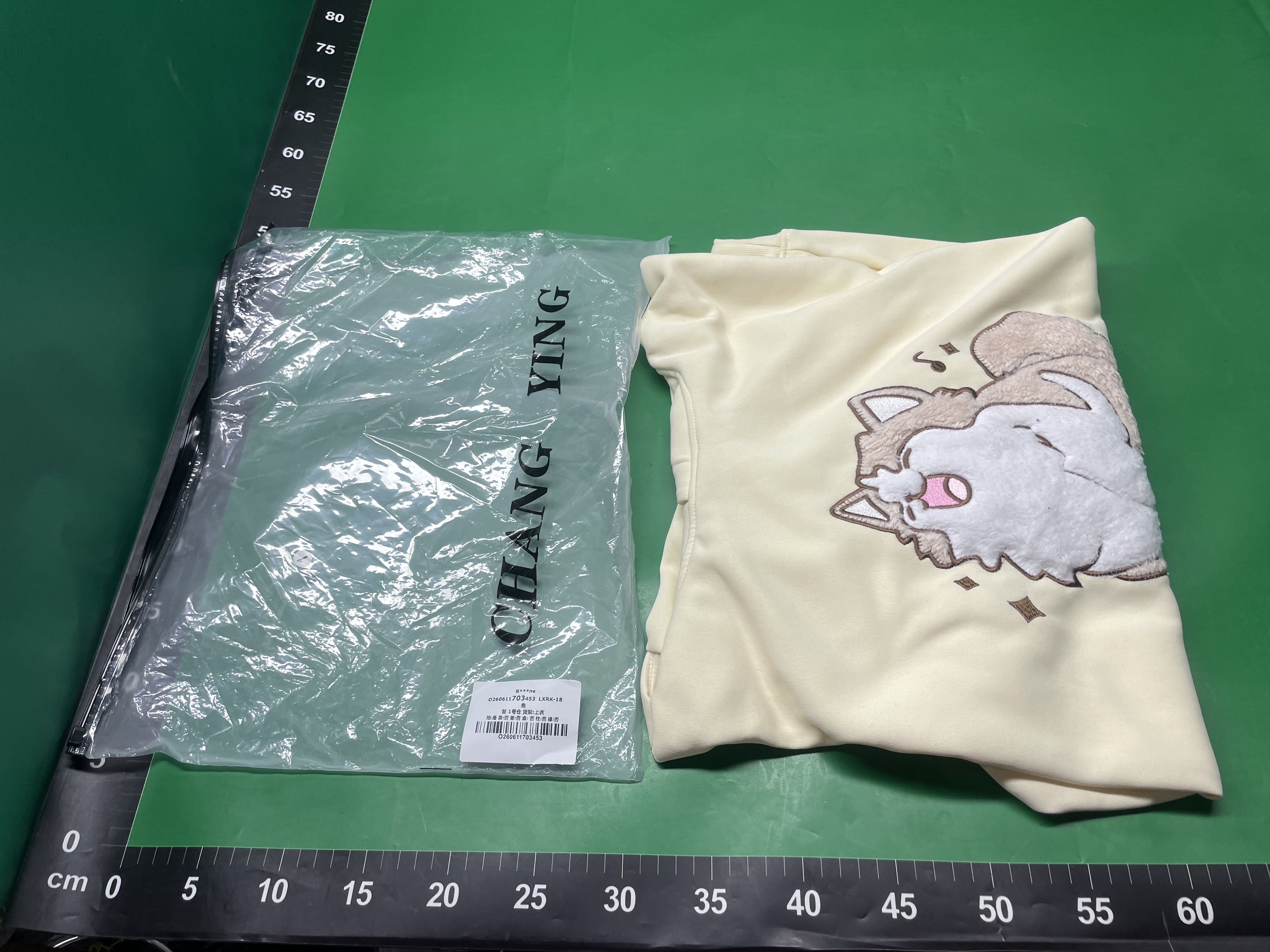 2026新款卡通刺绣连帽卫衣女春秋宽松oversize情侣气质百搭上衣潮 — foto QC 1