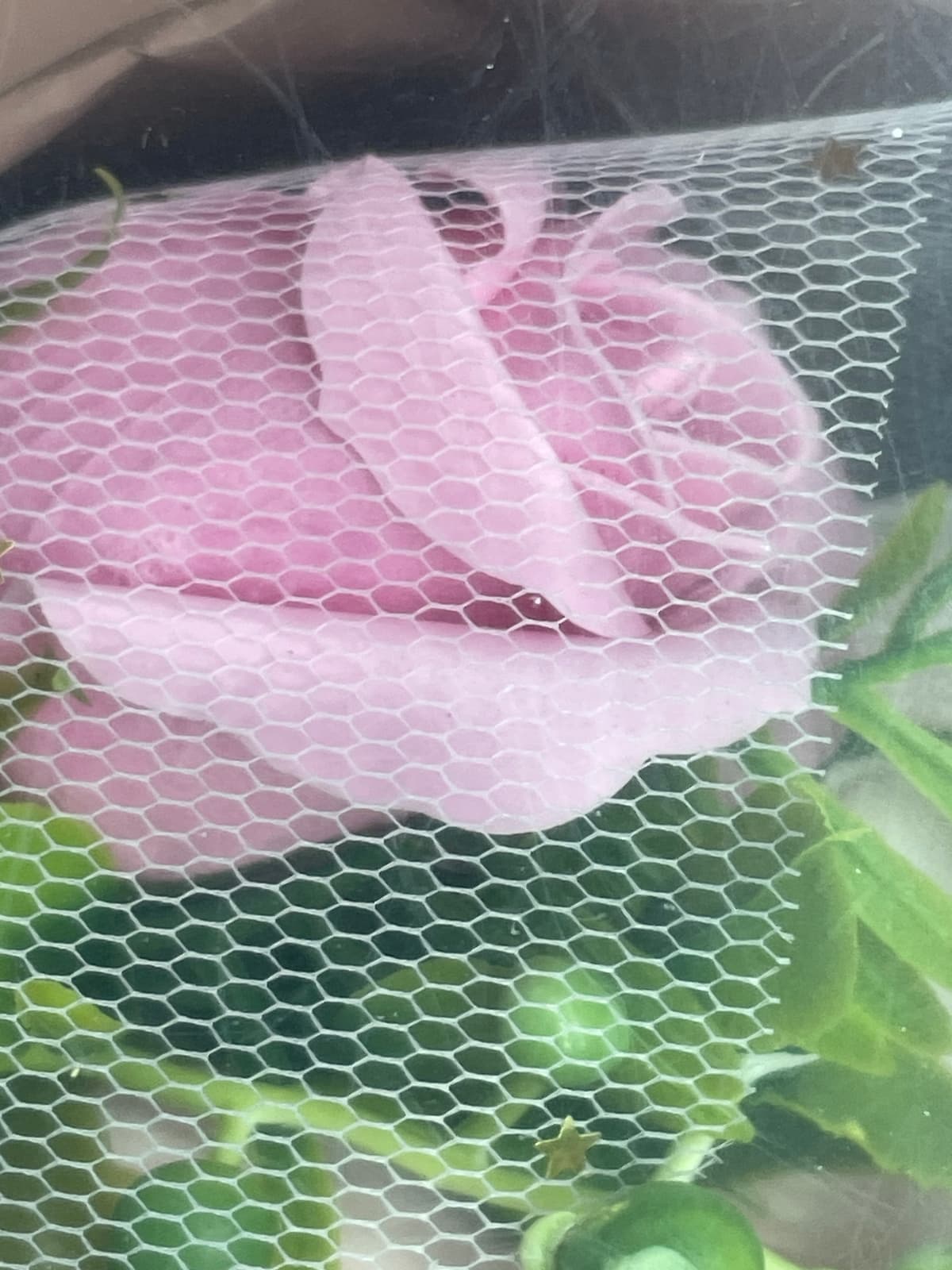 教师节送女老师班主任礼品实用高级感花束无火香薰礼物小众伴手礼 — foto QC 1