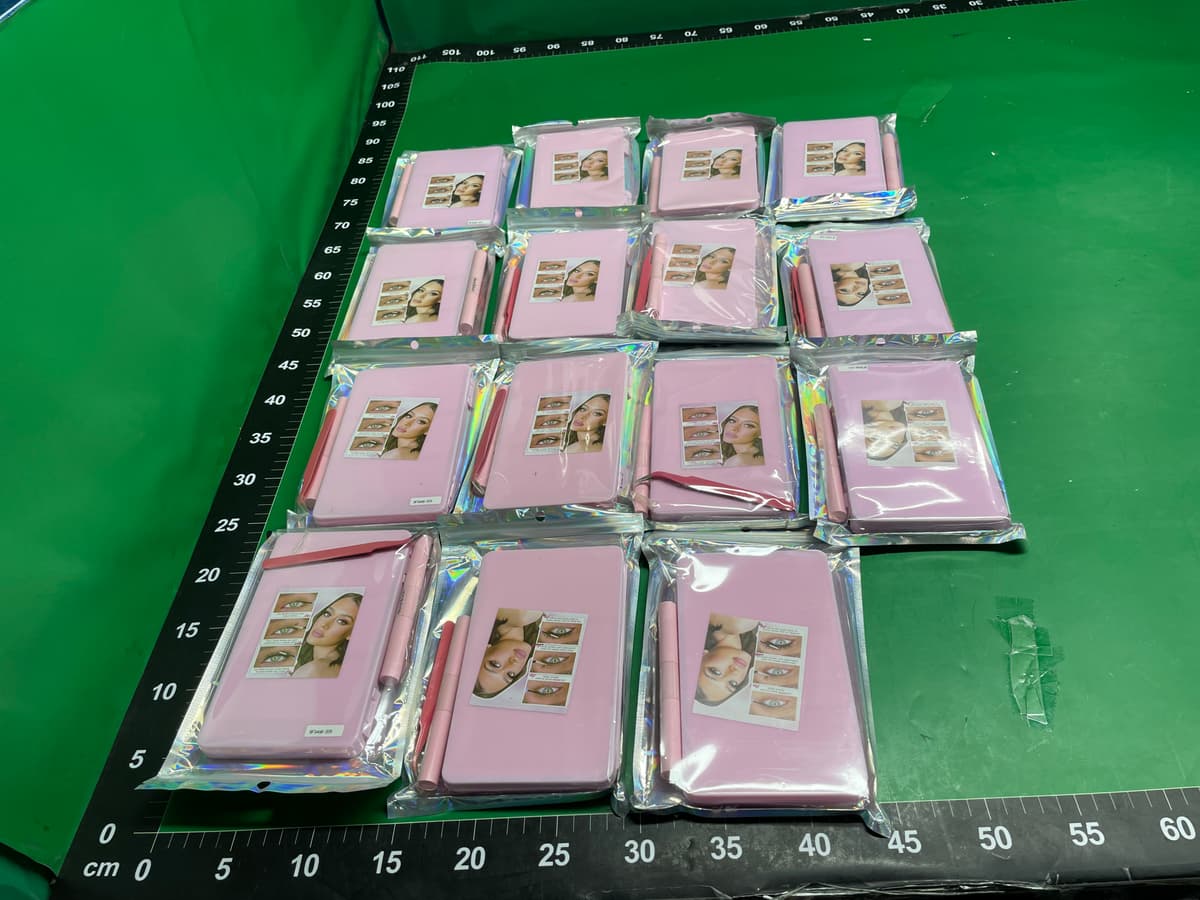 亚马逊爆款亚裔假睫毛套装外贸朵毛睫毛书欧美跨境眼睫毛厂家批发 — foto QC 1