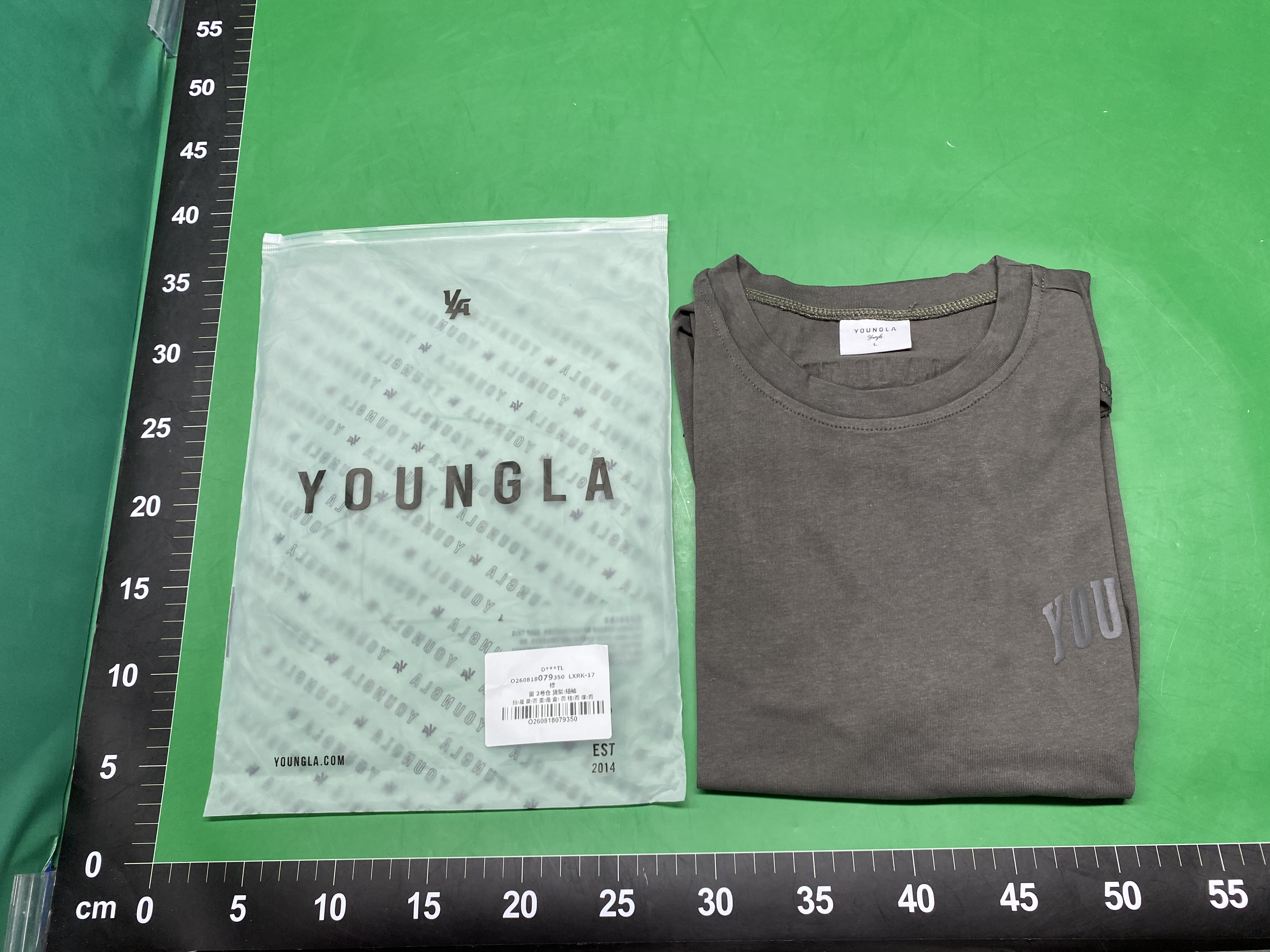 YOUNGLA美式运动T恤发泡印花纯棉健身短袖肌肉男宽松上衣休闲潮牌 — miniatura QC 2
