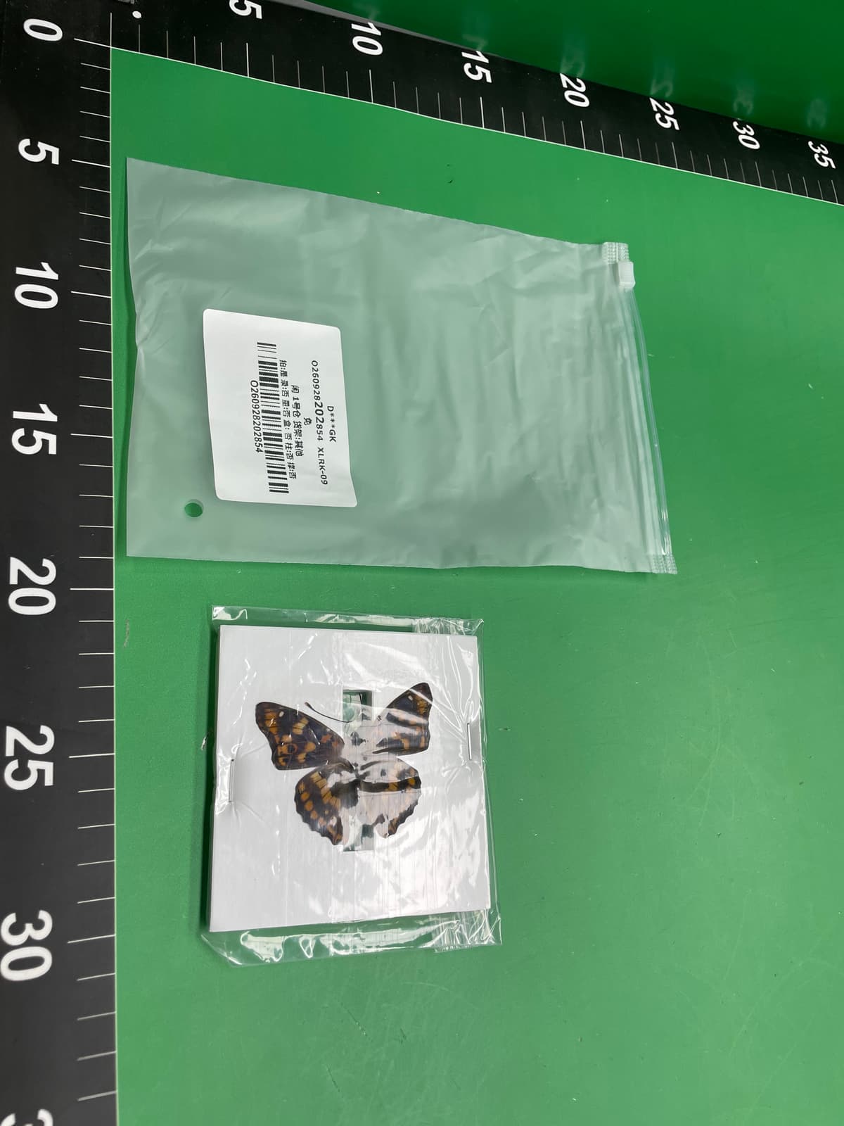 振方工艺真实昆虫标本透明盒装蝴蝶展翅女生儿童节日礼物收藏摆件 — miniatura QC 3
