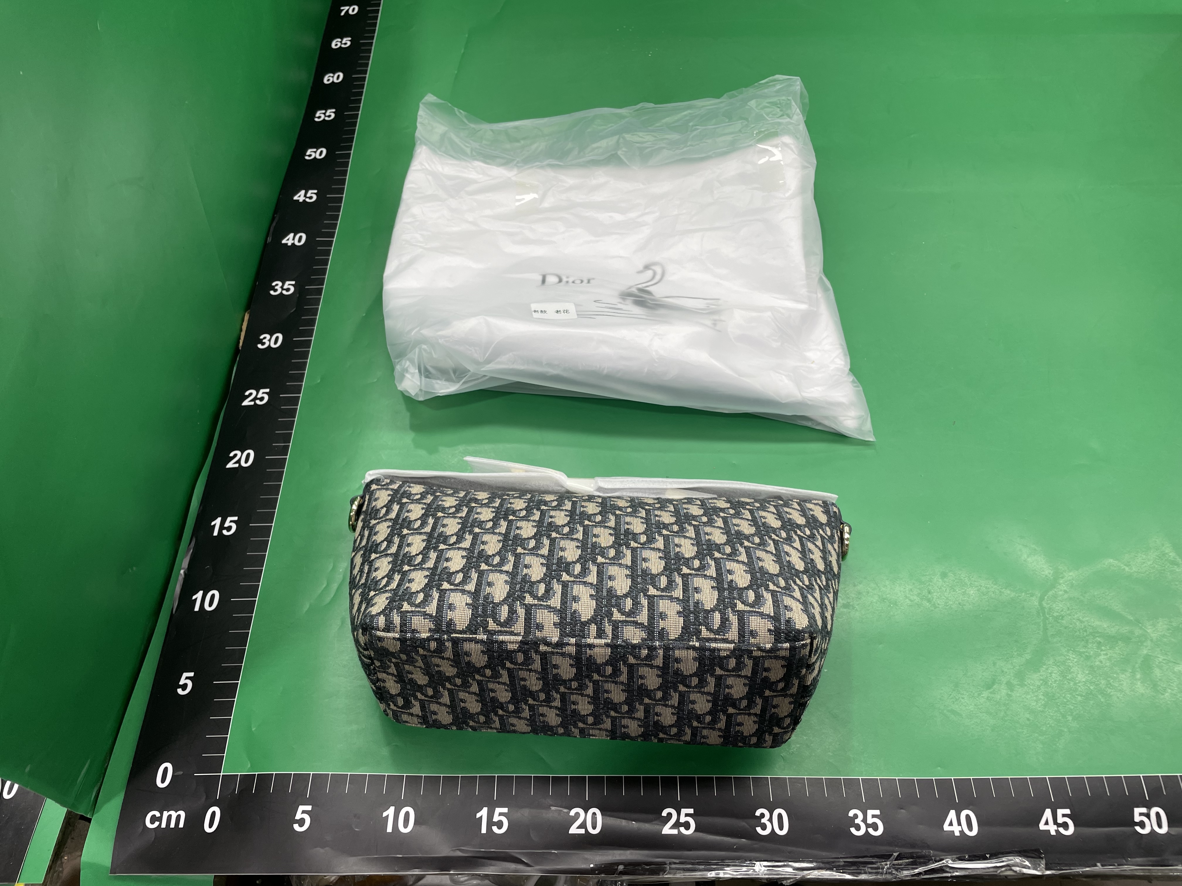 包包女24新款网红CD帆布饭盒包时尚老花大容量女包百搭托特包 — foto QC 1